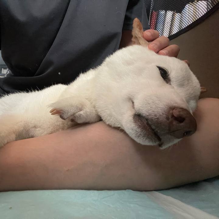 345d8236 f00a 4047 8f96 041ea8a502a3 1658616799855