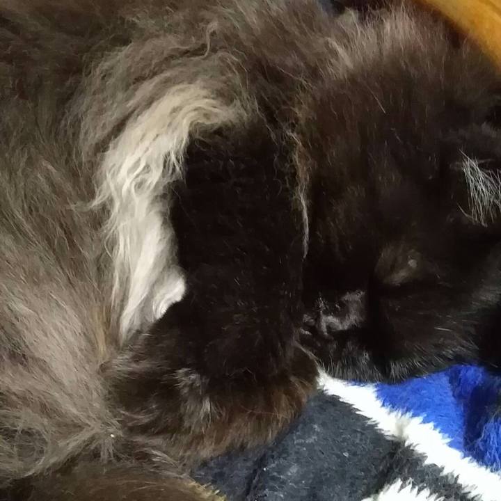 345d8472 4def 433a b286 e0d5b540dc9f 1510016342177