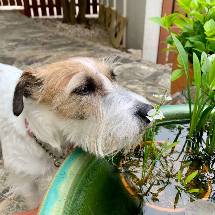 345da902 601b 4dc4 9421 10411f11fca7 1653123316934