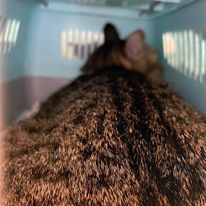 345e0c4f 6a91 4f64 9f26 c91a8016b1e9 1667822979430