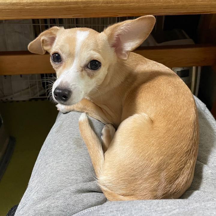 345e0dc1 e765 4bd7 8f38 7820667cfe41 1681871554781