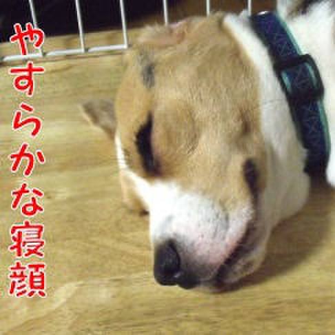 345e108a ca59 4c12 8de7 95221bbfa2c9 1693354780983