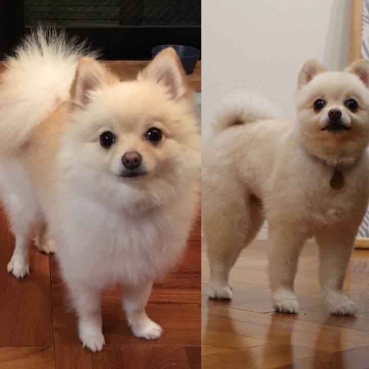 345e1e01 87b0 4fec 9851 b5b4a442d5e5 1600422258450