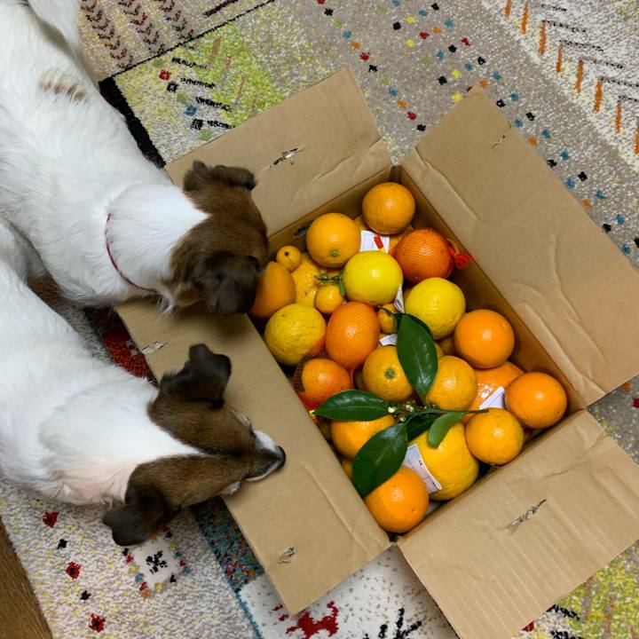 345e4a14 ed5d 46e7 9c6d 3445984ebe4f 1651755486280