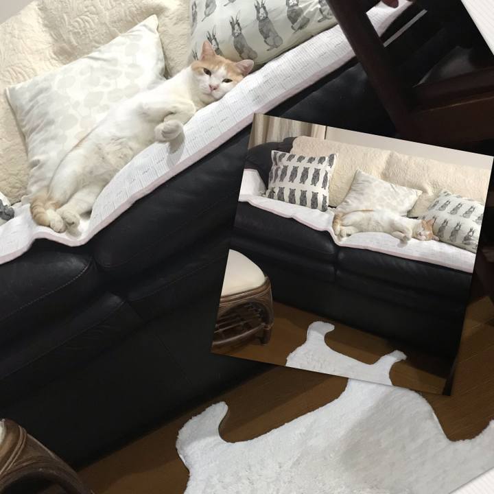 345e6fa2 28c5 4ddd aa72 bdd2b07fde63 1542114726928