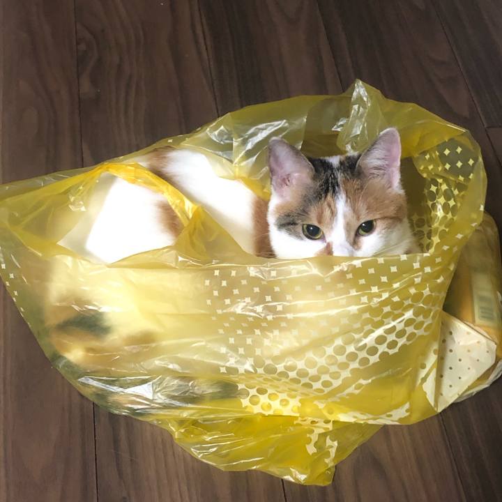 345ec7ee ed44 4364 99d9 e20a4b85c547 1604409962217