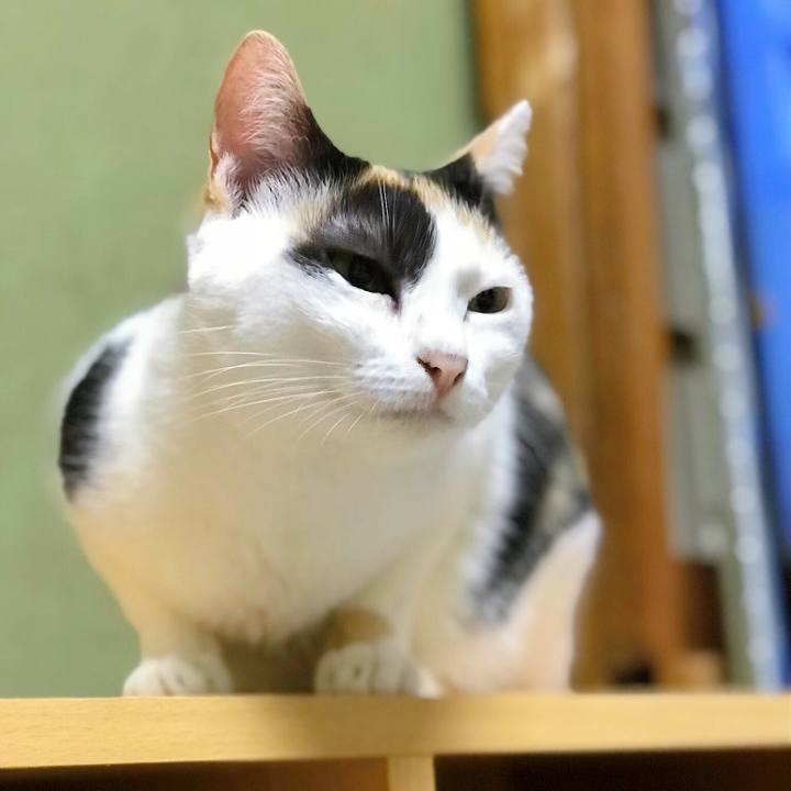 345ef24a 26ec 4af6 8a9b 73ec7add6002 1508214746864