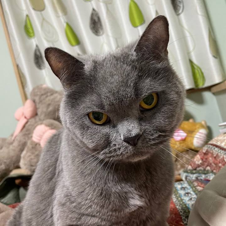 345f4552 4428 4ccb 8142 26e6ec74be6a 1773477606237