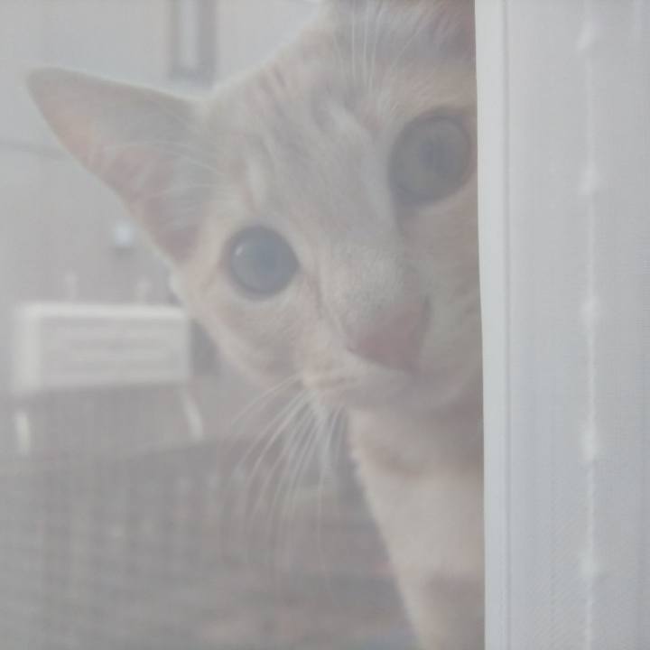 345f5f41 a6b4 4206 bff9 d127f7fe2c76 1541826564317