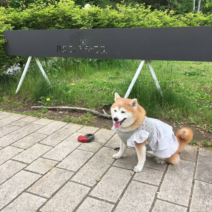 345f658a 8604 44ea a39a 4c72787182ec 1559046337532