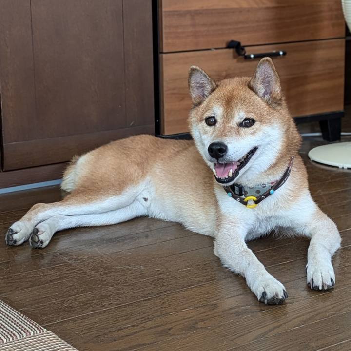 345f8dfc b171 4b64 ba5b 9cf9f3cf8546 1722850973375