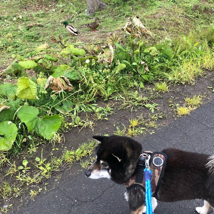 345fa86b 7c1e 4496 8be2 a99fc39a6bbc 1622365004684