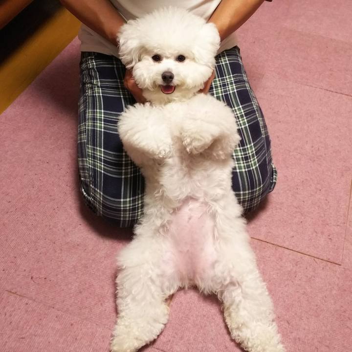 345fd454 8499 4b31 b3ad 872cef927722 1528256700810