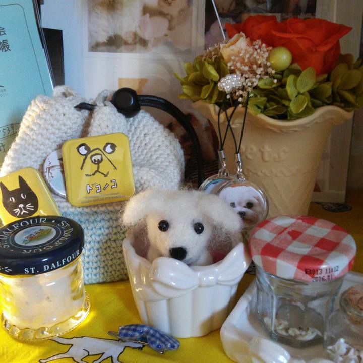 346021f2 902f 4461 99ea 506f7274f29d 1536627207720