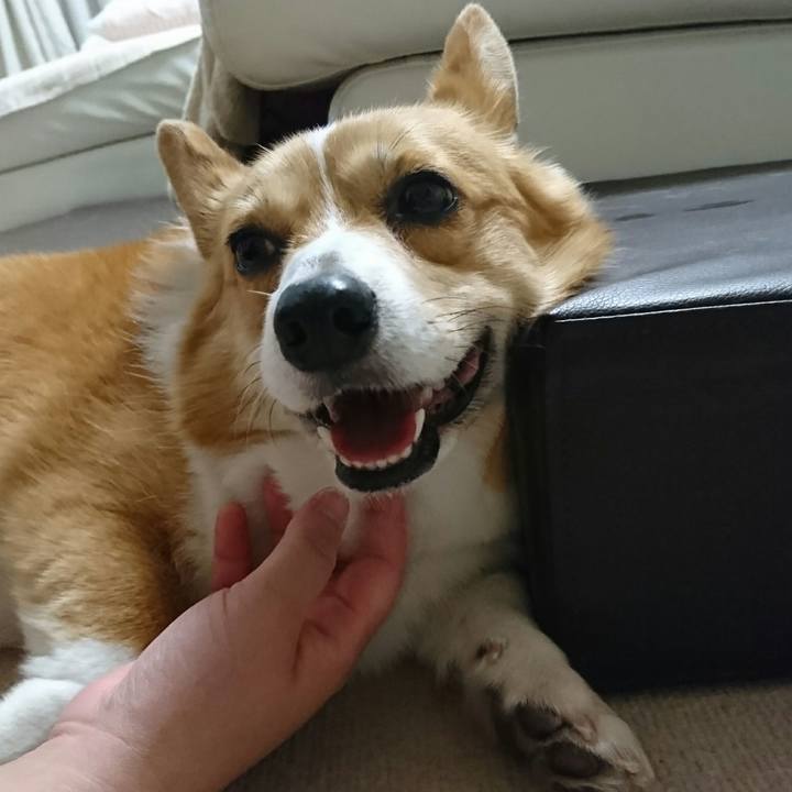 34607755 95c9 4be9 ae13 e427c84caf0b 1524449385218