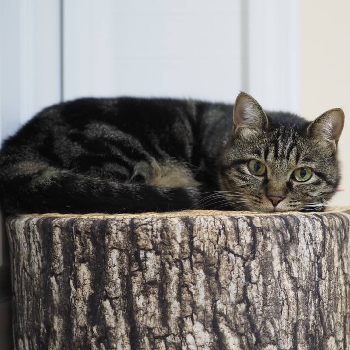 34608aac 624f 4e11 9205 8b1e47465b1f 1633925410691