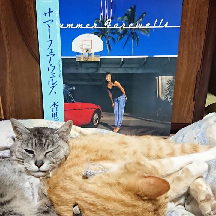 3460a751 6703 4860 8c8b d78c6e932de7 1589199432276