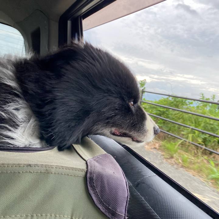 3460cc68 3d44 4e29 825d 18d9a4095e62 1689285218808