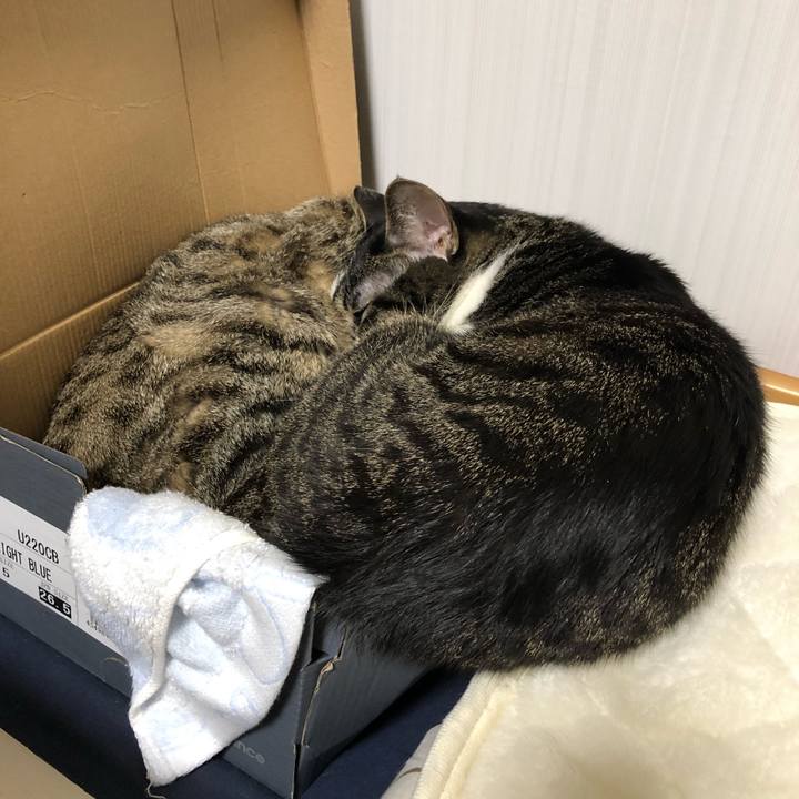 346111e3 1b3d 41cb b100 b31ae85b9e68 1545515167805