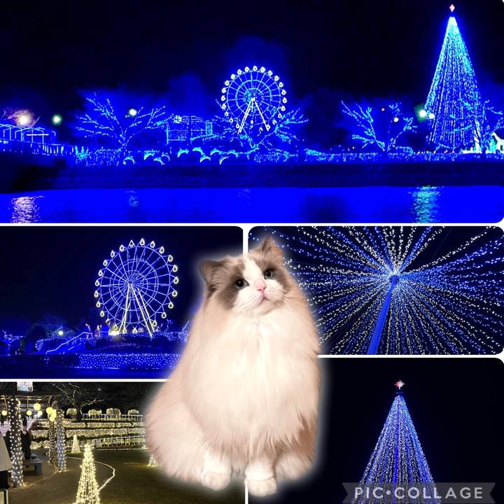 34613a0e 2e50 4e93 b319 9c5603f30f1e 1640511525832