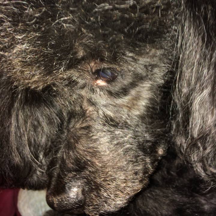 3461af34 adec 48ad abcb 7a49e2342496 1526206537863