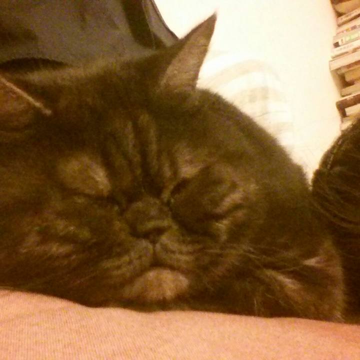 3461bfcb a135 4970 a493 840bd4a1a733 1515803907846