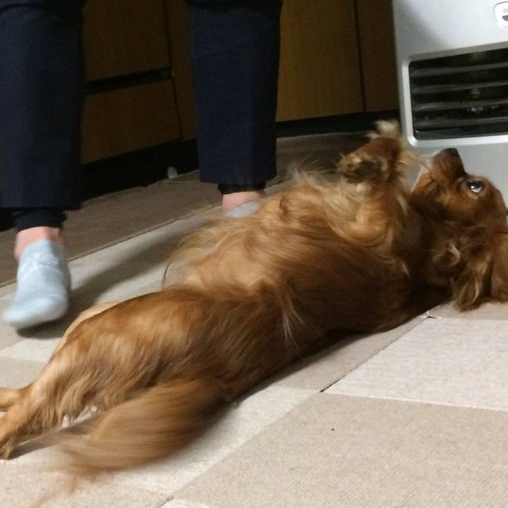 3461c2fa d3f2 4661 b284 9a6546dc1323 1519513646214