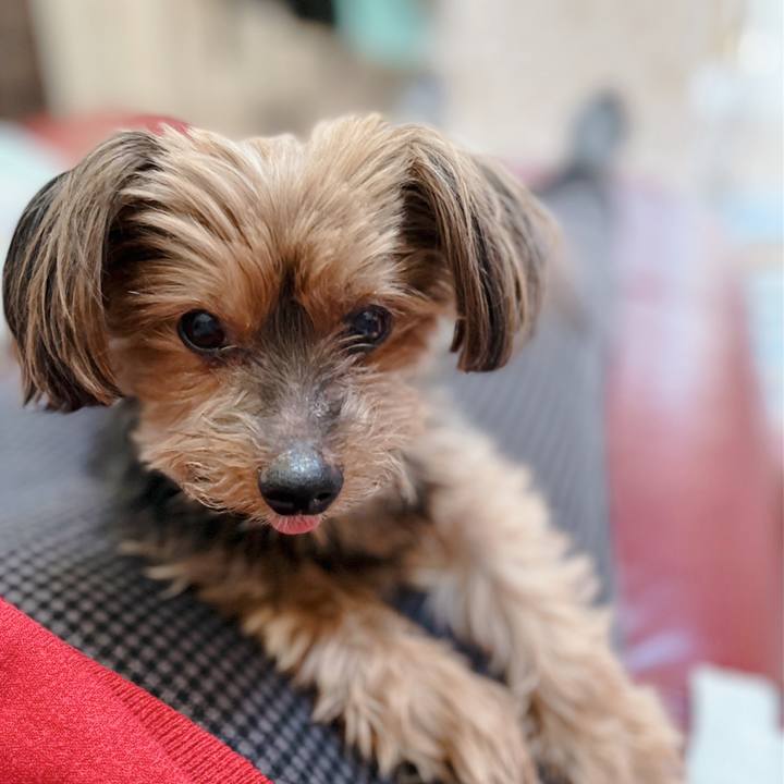 3461fccd d355 4a9f 8a07 40d253df9d94 1643761489673