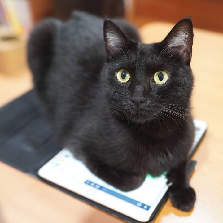 346219b2 8795 4ee6 a9f3 27e40db9c770 1601390029857