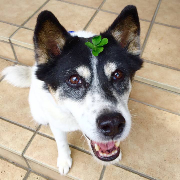 34622686 0e24 44fa 97ec ad388a621a82 1537247767721