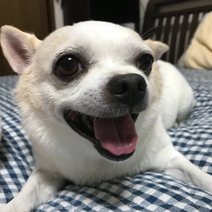 34622dac d87c 4bf1 8c10 d1f591c669ba 1535118126460