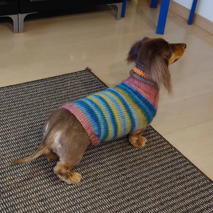 34625cd4 486c 41c7 9bc1 1ebcf6e76f9e 1672272094397