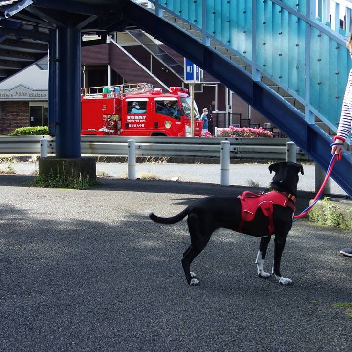 34627554 a0ee 4256 a4ad e182cf340c77 1590281749922