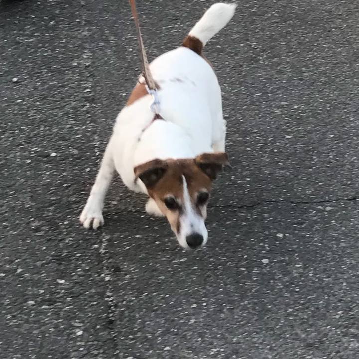 34628145 80db 47c2 90e2 146c06aad4e3 1521804641801