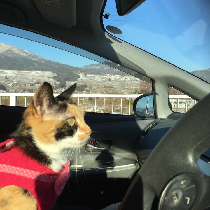 34628f7c c986 4eb7 9e69 8008b5ae5c2c 1513922578857