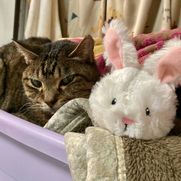 3462a840 dc73 447a b700 a365d800f1b1 1614244055972