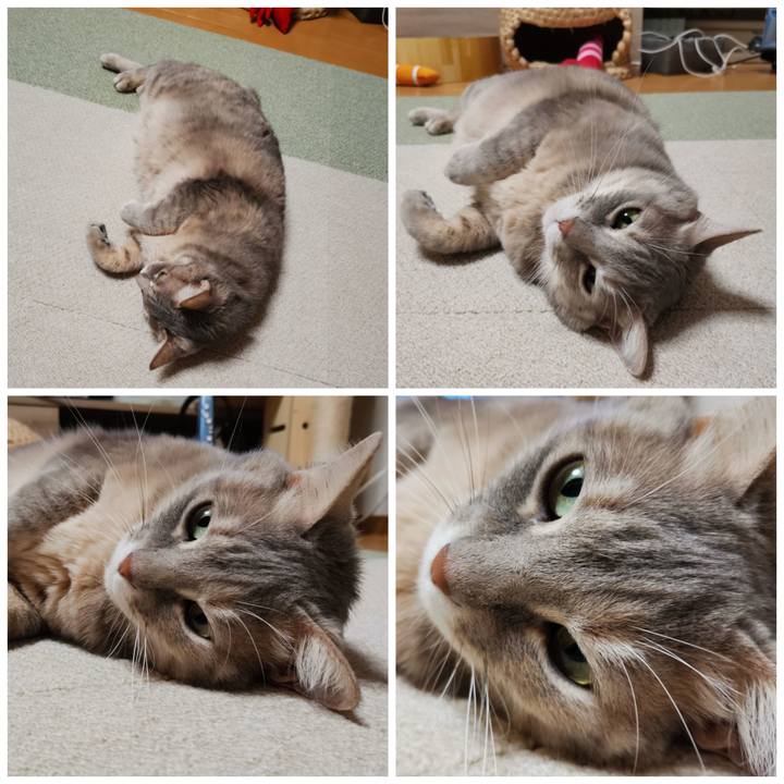 3462c60e 95ab 4320 a288 06e6bdc9a2f1 1613193133603