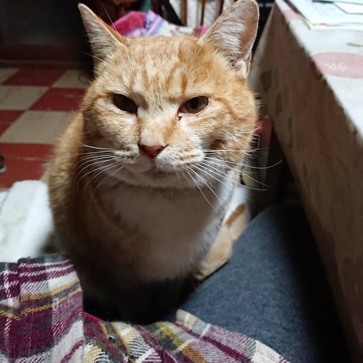 346344ac 73f1 4480 9c9f a5d0d43e0dcf 1580673926098