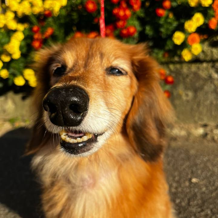 3463565c 4a3a 4d6d a4ce 3977df45583b 1667309083658