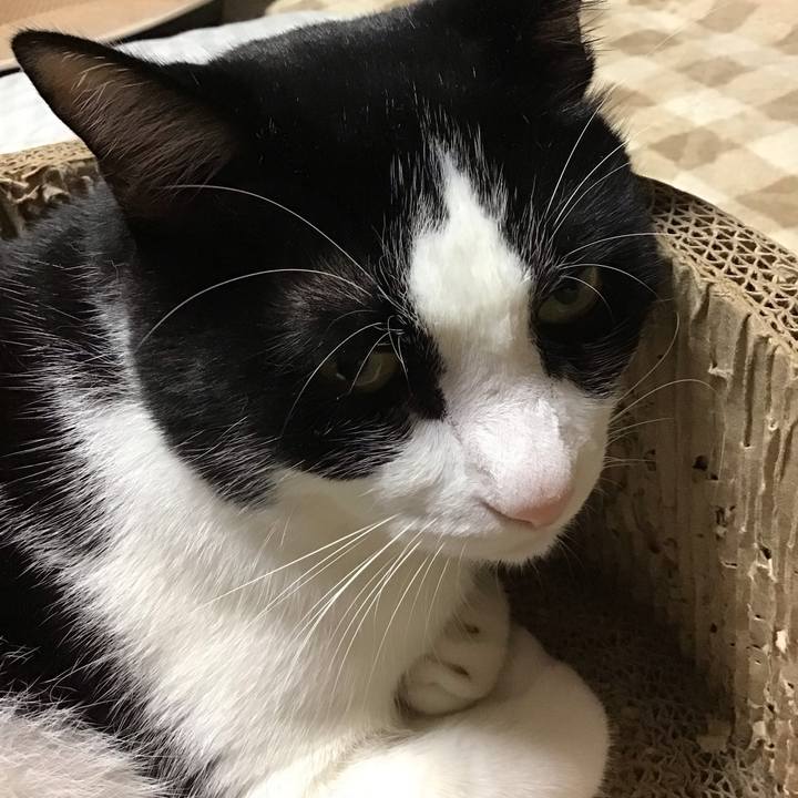 34636005 631a 460e bd5a cf9f532fb0d3 1729928990135