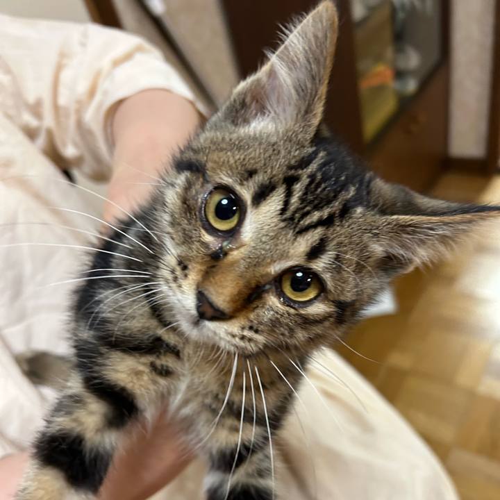 34637646 6abc 4999 a031 1f016b8ad2c9 1727993355526