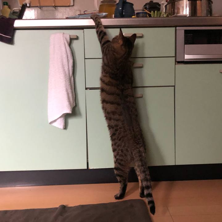 34637685 0670 460d b892 80378fc29610 1588314927237