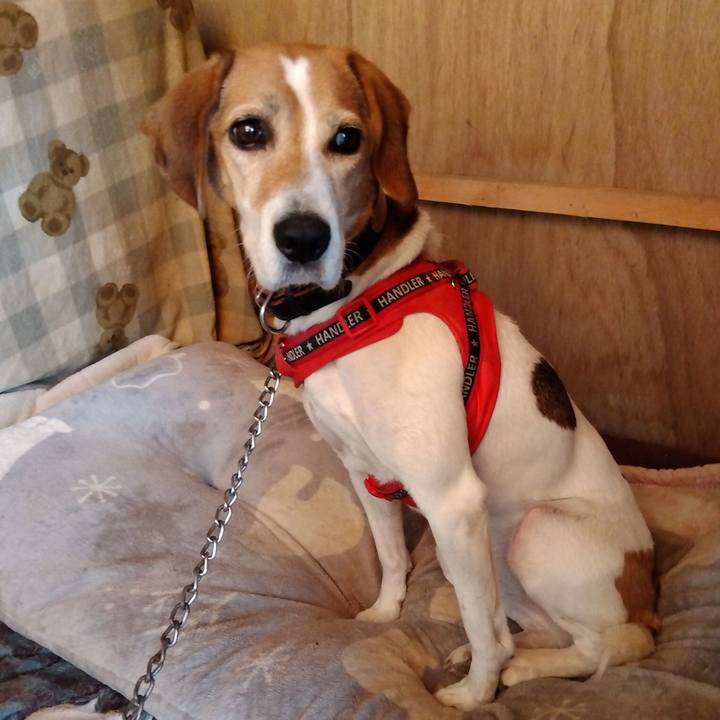 34639f17 cb34 402a 852f c98c6871e0f1 1702563134026