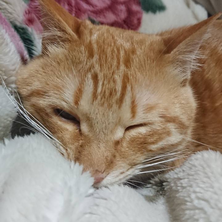 3463bd97 7892 4e97 8f6f 24267c190fcd 1643373968181