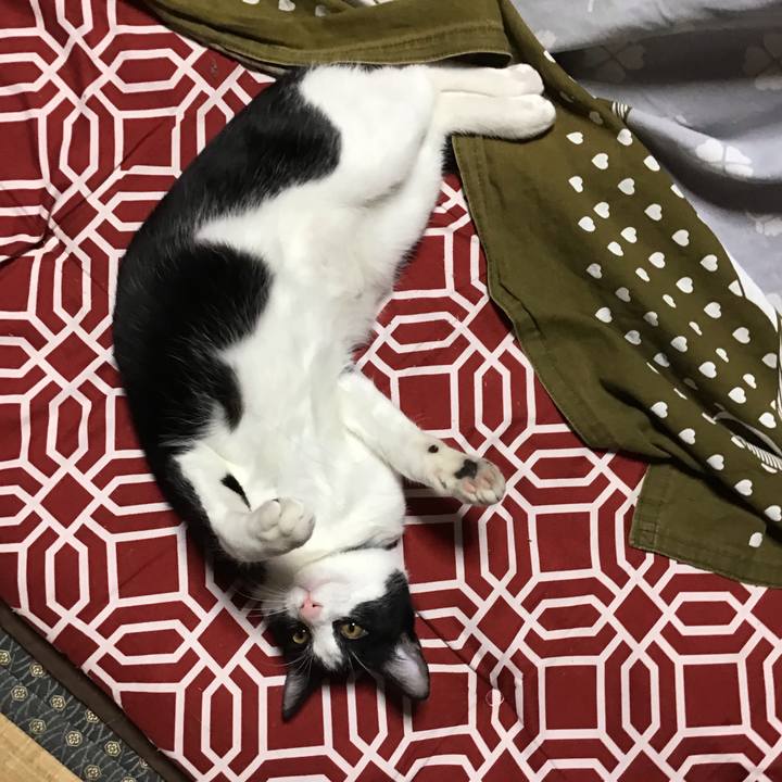 3463c674 2653 4bec af16 55cf42e170b3 1635244042103