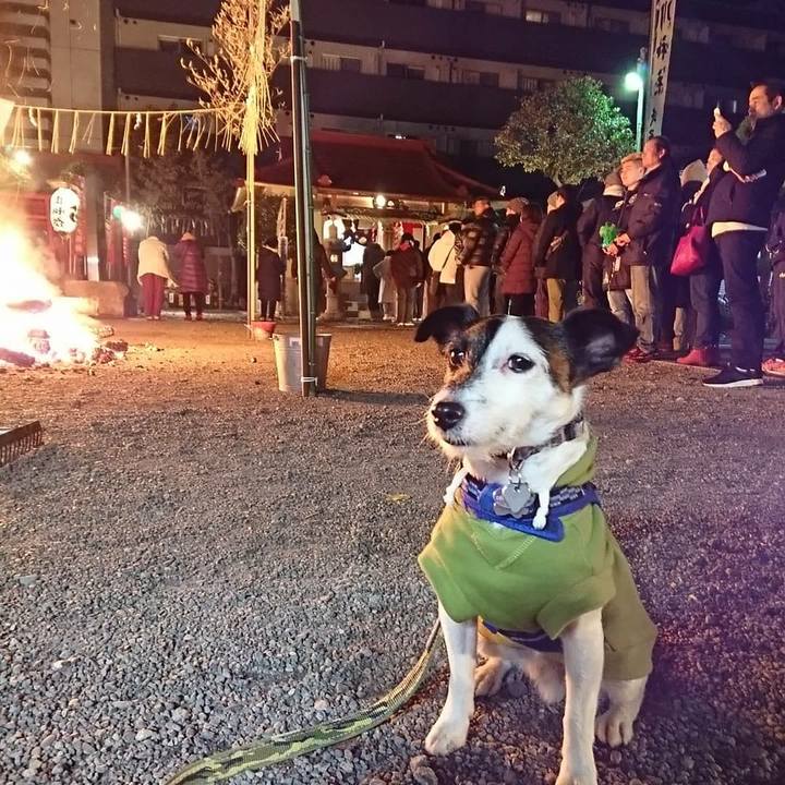 3463d3a9 062c 4b9d 86f8 e35f27917029 1514736923825