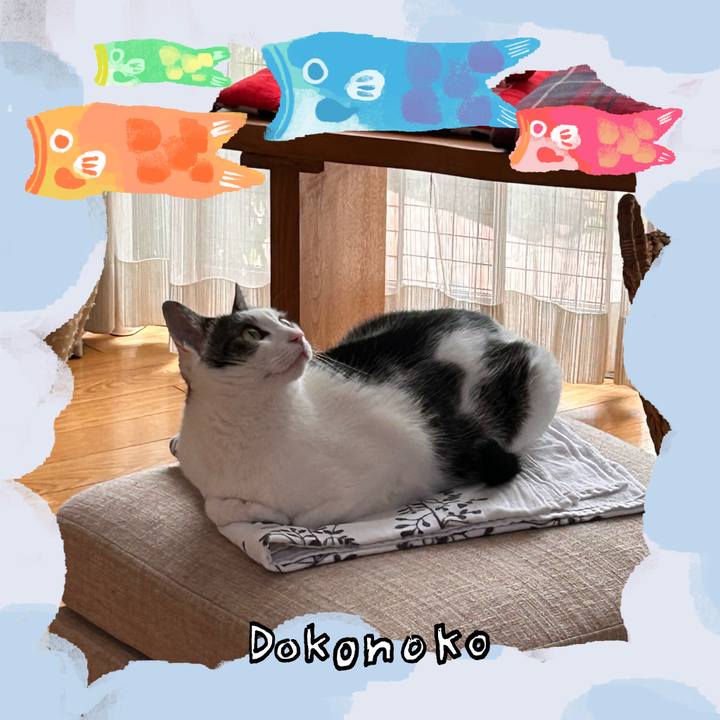 3463d637 f471 430a b1c0 4b3d59724270 1749616275447