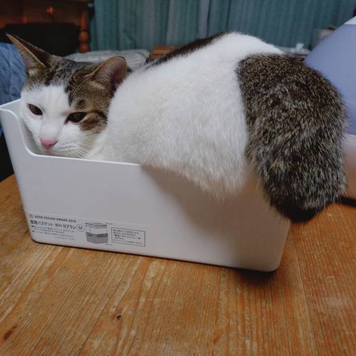 34640ef8 9fbf 4848 9b04 7305be3d9a6d 1669630218265