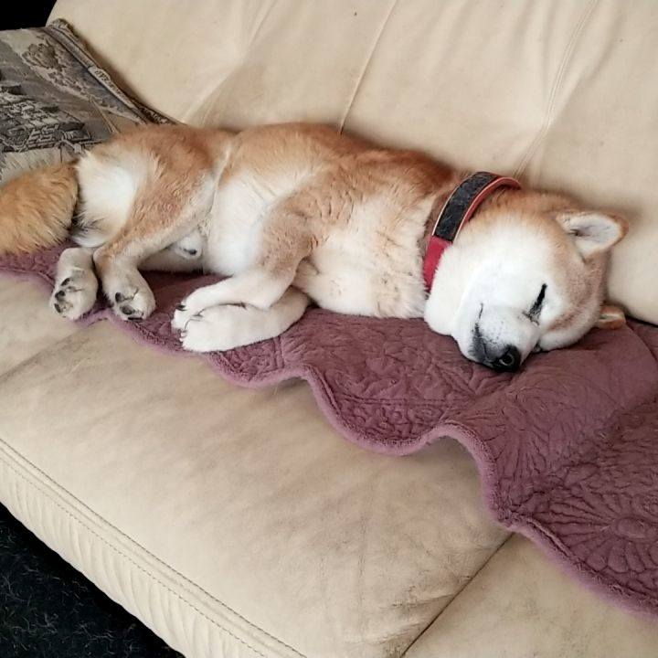 34641080 c413 48cd 8ea4 fc2eaa7300a6 1763599456907