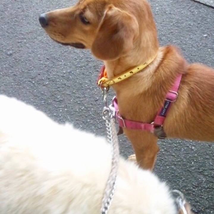 3464117e 42ef 4abc 9816 44f509f402df 1532307177698